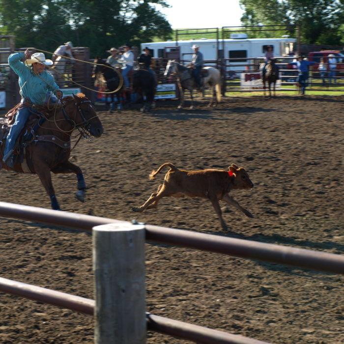 Rough Rider Rodeo Jamestown Events Calendar Jamestown Events Calendar